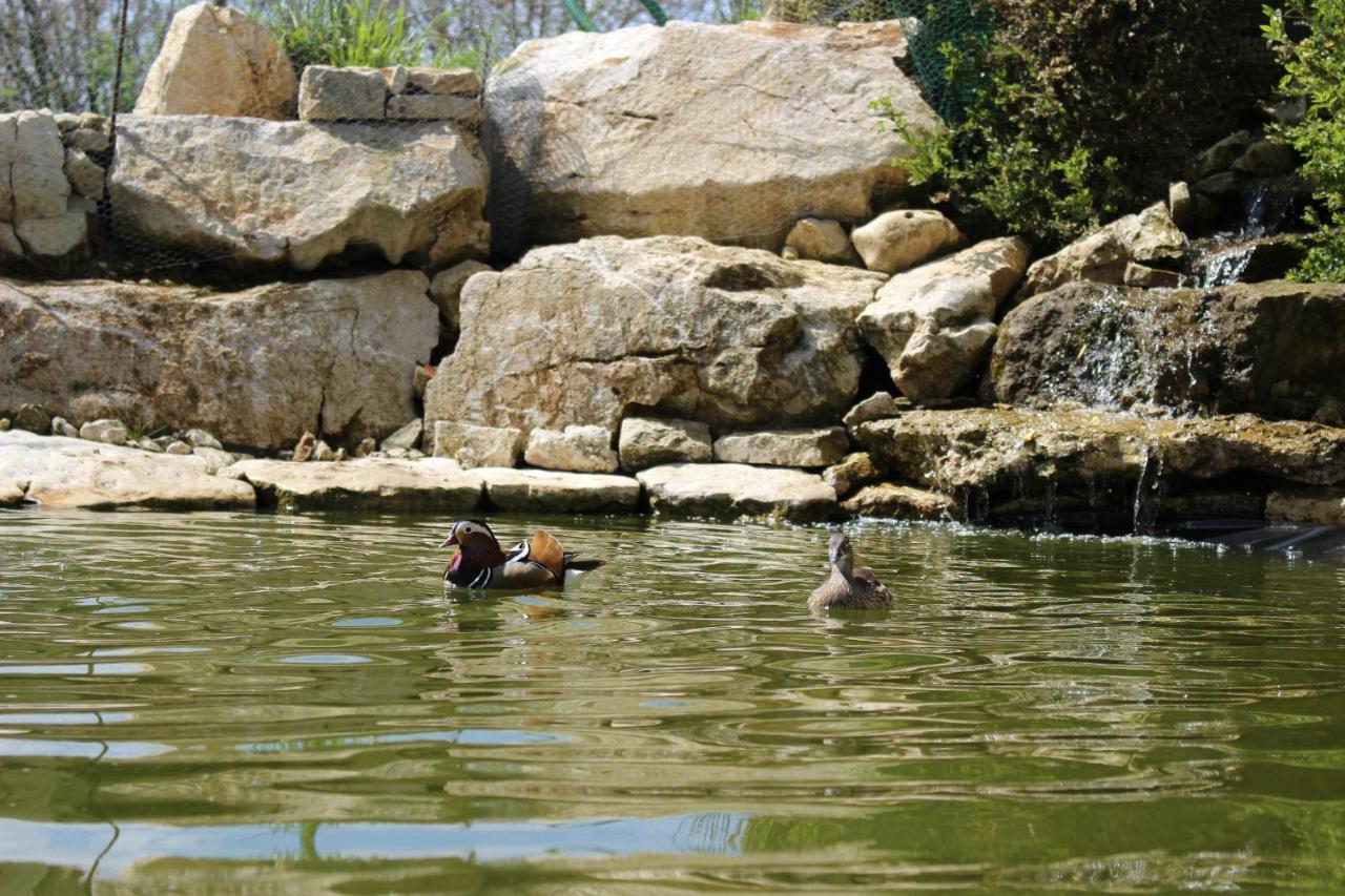 Les Mandarins Bed & Breakfast Baladou Bagian luar foto